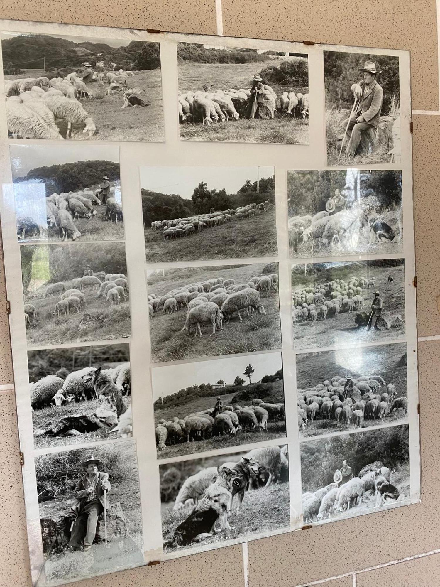 פוסדינובו La Ginestra B&B מראה חיצוני תמונה